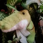ximena.reyes.92167789 profile picture