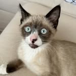xjustthatchillgirlx profile picture