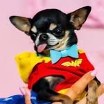 xoxohilton profile picture