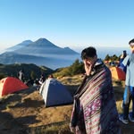 xsut___ profile picture