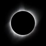 xurael__ profile picture