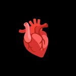 xxgurlsxyz profile picture