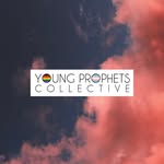 y.p.collective profile picture