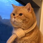 ya.ong_ profile picture