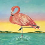 yachtrock profile picture