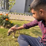 yadav_.vishall profile picture