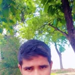 yadavji709136 profile picture