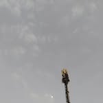 yamaunyaapa_ profile picture