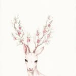 yao.xh profile picture