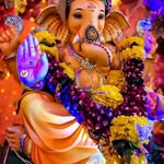 yashaswini_malle3189 profile picture