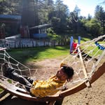 yash_chandel3 profile picture