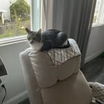 yasminkhan5583 profile picture