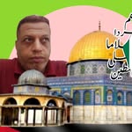 yassereltanawy55 profile picture