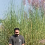 yatinverma13 profile picture