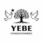 yebefoundation profile picture