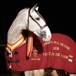 yeguadasr4oficial profile picture