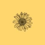yellove.13 profile picture