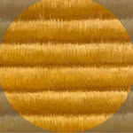 yellowlabelco profile picture