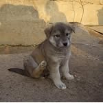 yeonhanheum6 profile picture