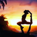 yoga.shuka profile picture