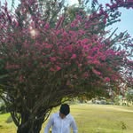 yogeshhhh_13 profile picture