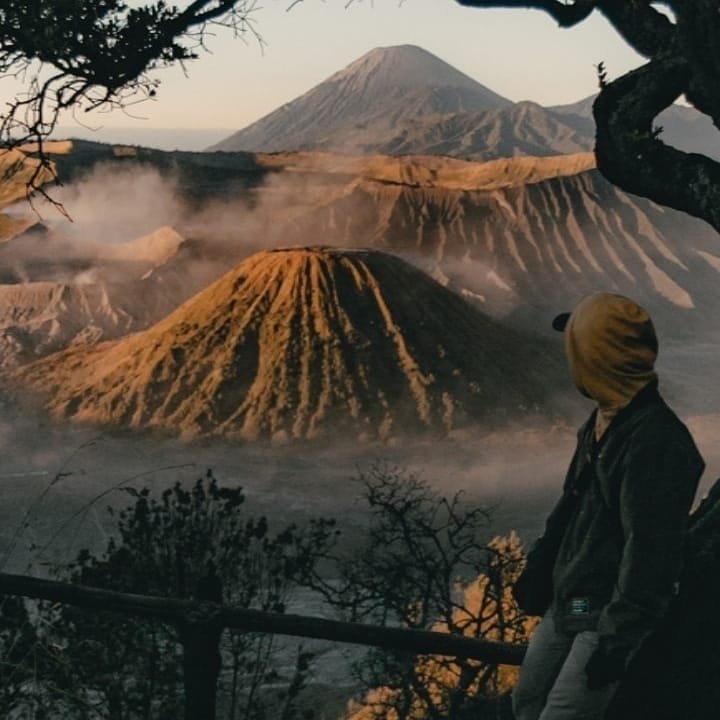 yogi_arya17 profile picture