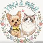 yogi__milo profile picture