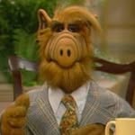 yomocares profile picture