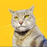 yoremahm profile picture
