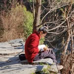 yountan_wangmo_tsangspa profile picture
