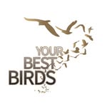 your_best_birds profile picture