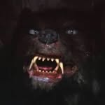 yourgirljuls profile picture