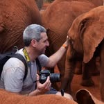 yswildlifephotography profile picture