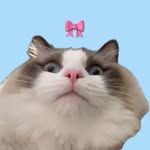 yuca_814 profile picture