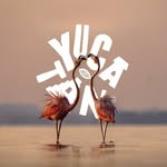 yucatanturismo profile picture