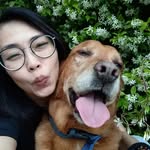 yuketjaniarko profile picture