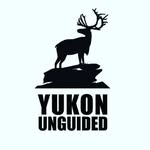 yukonunguided profile picture