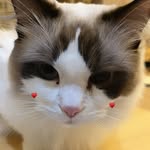 yuli__0129 profile picture