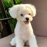 yumicbabies1221 profile picture