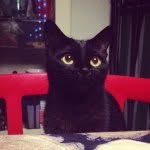 yumillo profile picture