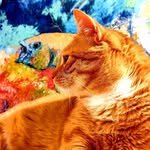yumustheartcat profile picture