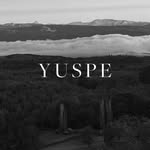 yuspe.studio profile picture