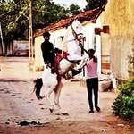 yuvraj_kathi_5555 profile picture
