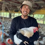 yuya_gobochicken profile picture