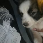 yxvx27 profile picture