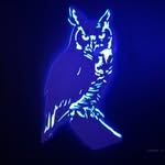 zachkepler profile picture