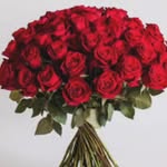 zaheda_kazi_008 profile picture