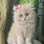 zaheda_khan31 profile picture