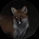 zahlenkrank profile picture