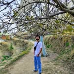 zaidkhansahil profile picture